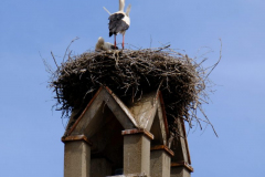 Bamberg_2024_11-scaled