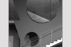 G7_2024_19