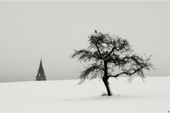 G7_2024_20-scaled