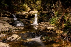 Q1_21_13-Rlochwasser