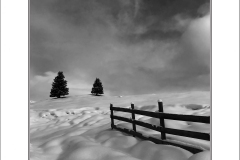 Q1_23_DR-Weisse-Stille