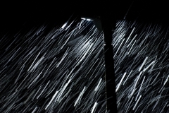 Q2_2021_07-Regen2