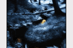 q2_23_Rothwald