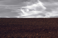 Q2_22_02-Ackerland