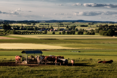 Q2_22_05-Landleben