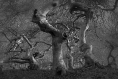 Q2_22_12-Ruegen