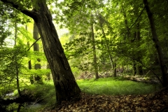 Q3_19_09-Blten2