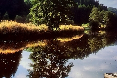 Q4_2021_05-Herbst-an-der-Ilz