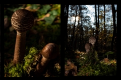 Q4_20_02-Perspektivenwechsel