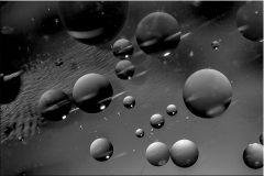 26-Universum_sw_2020