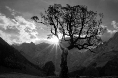 SW_2022_11-in-der-Eng