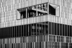 SW_2022_15-Blick-aus-dem-Fenster