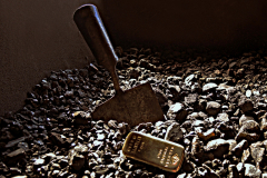 SW_23_08-schwarzes-Gold