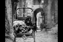 SW_2021_036_Puppenwagen