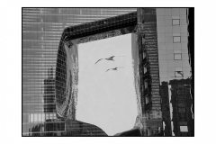 SW_2021_093_Durchblick